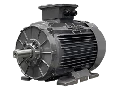 Motor as�ncrono trif�sico IEC DG4 315-L4