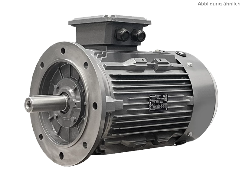 Motore asincrono trifase IEC DG3 180-L6
