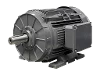 DG3 250-M6 IEC-Drehstrom-Asynchronmotor