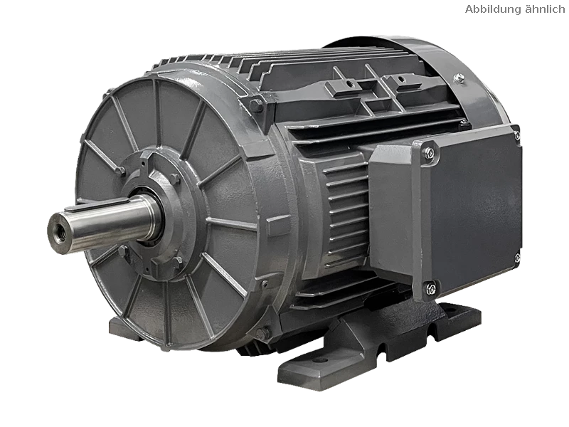 IEC three-phase asynchronous motor DG3 250-M6