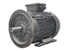 DG3 250-M8 IEC-Drehstrom-Asynchronmotor
