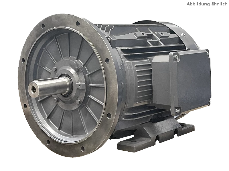 IEC driefasen asynchrone motor (verhoogd vermogen) DG4 250-MP4