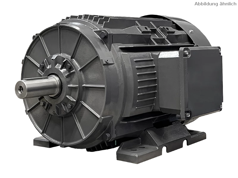 Motor as�ncrono trif�sico IEC (mayor potencia) DG4 280-MP4