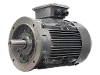 DG3 200-LP6 IEC-Drehstrom-Asynchronmotor (erh�hte Leistung)