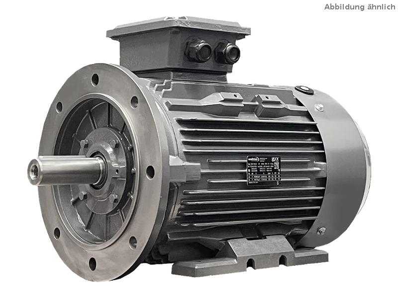 Motore asincrono trifase IEC (maggiore potenza) DG3 180-LP6