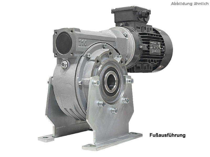 Motor�ducteur � vis sans fin M110-7-100LA4