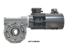 M110-7-100LB4 Schneckengetriebemotor