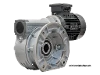 M110-23-80B4 Schneckengetriebemotor