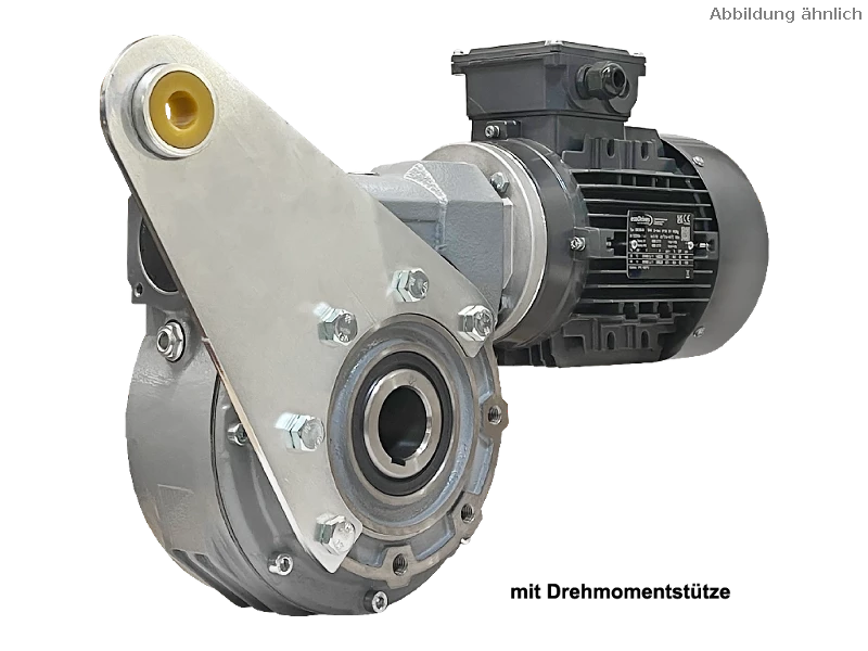 Worm gear motor M110-30-80A4
