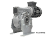 M110-38-90S4 Schneckengetriebemotor
