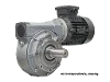M110-64-71A4 Schneckengetriebemotor