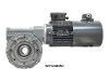 M110-84-71B4 Schneckengetriebemotor