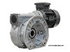 M110-99-71B4 Schneckengetriebemotor