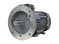 IEC-Drehstrom-Asynchronmotor IE4-W61R 315 MX2 ST