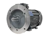 IE4-W61R 315 MX2 ST IEC-Drehstrom-Asynchronmotor