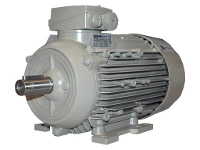 T&rcaron;&iacute;f&aacute;zov&yacute; asynchronn&iacute; motor IEC 1LE1003-0CC22-2AB4