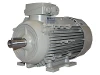 1LE1003-0CC22-2AB4 IEC-Drehstrom-Asynchronmotor