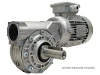 M050-5-63A4-IE2 Schneckengetriebemotor